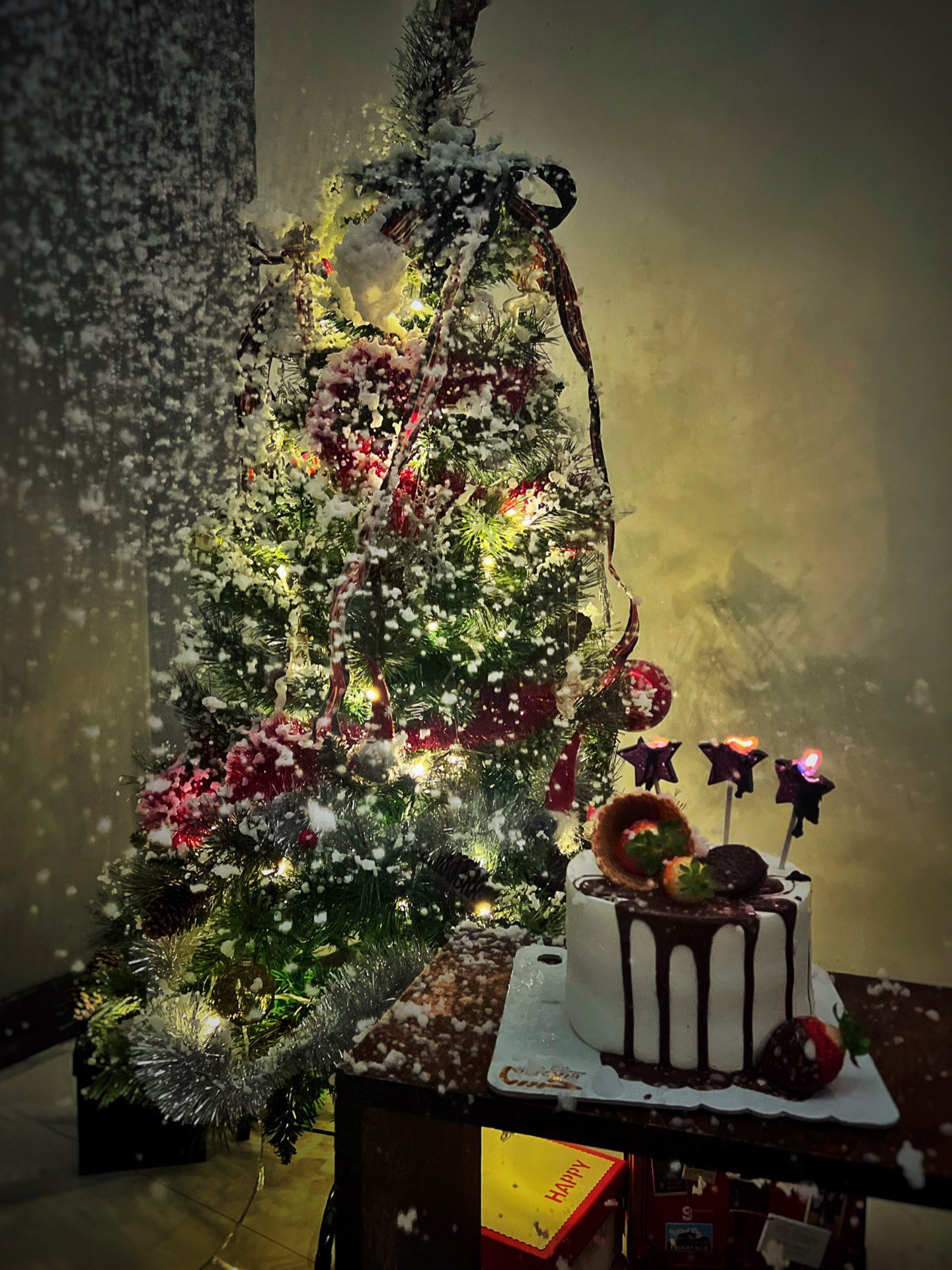 هستی مهدویفر تولدش را با تم کریسمس جشن گرفت