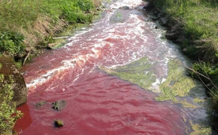 پرونده کشتارگاه دام نوشهر روی میز دستگاه قضا