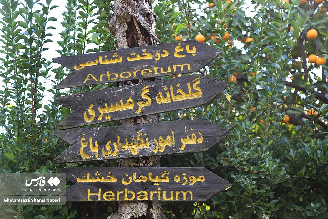 پاییز باغ گیاه شناسی نوشهر