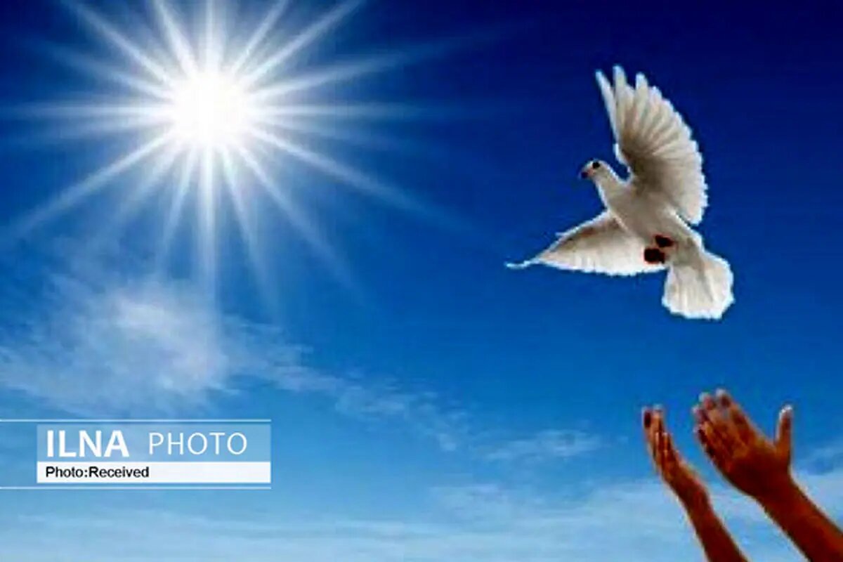 آزادی ۱۰ زندانی استان تهران با فراهمسازی زمینه کمک خیران توسط خبرنگاران