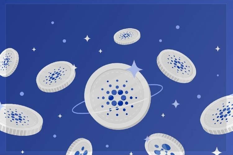 بهترین ارز برای استیک با بالاترین سود