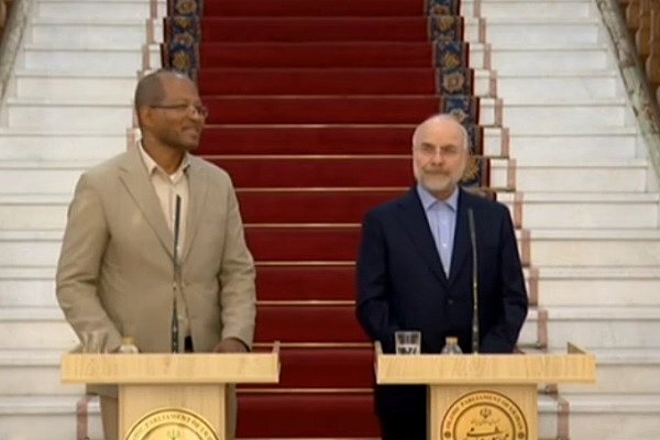 رئیس مجلس اتیوپی: امیدوارم روابط ایران و اتیوپی توسعه پیدا کند