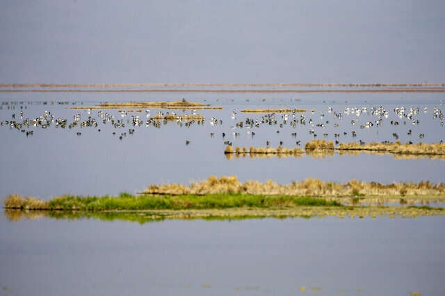 تامین حقآبه برای تالاب یا گرد و غبار برای شهر؟