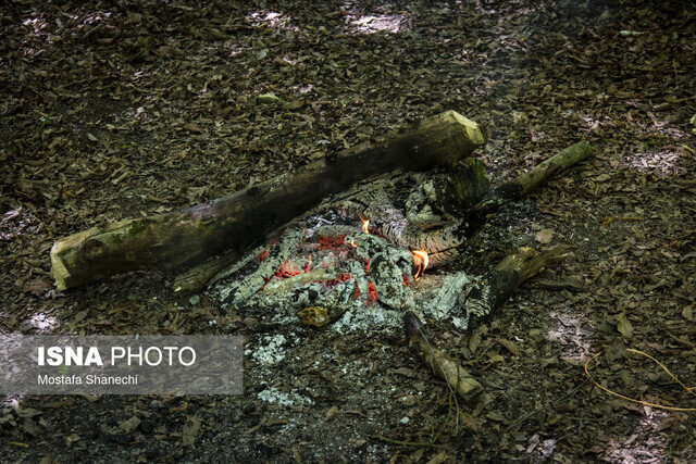 هیرکانی در اضطراب آتش بیتوجهی میسوزد/ گردشگرانِ ناآگاه، تهدید جنگلهای مازندران