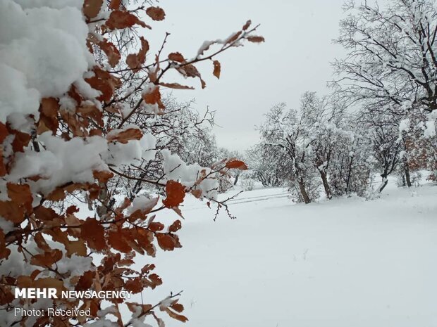 پیش بینی بارش برف در خوزستان
