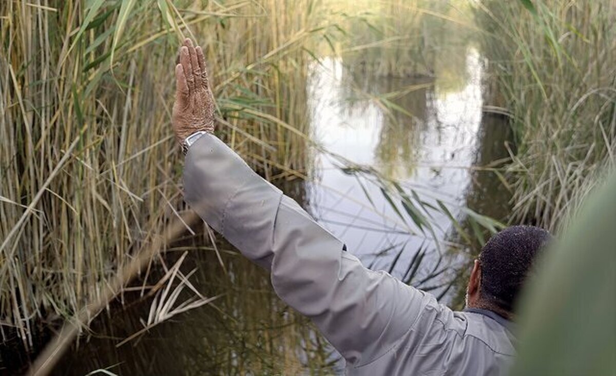 احضار تاریخ از دلِ غبار: «آبراه کوچکی در میان هور»، پیروزیِ روایت بر فراموشی