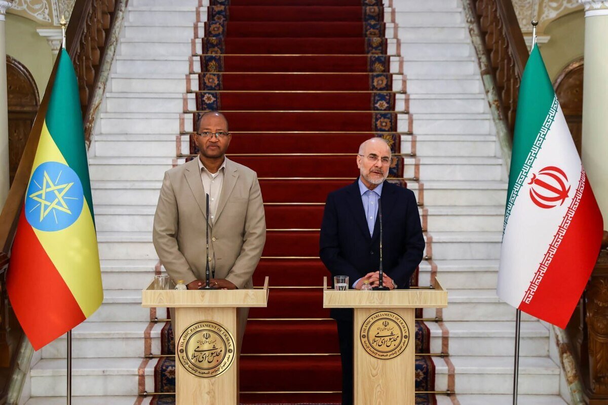 قالیباف: کمیسیون مشترک اقتصادی بین ایران و اتیوپی تشکیل شود/ایران به دنبال توسعه روابط با کشورها در شاخ آفریقا است+فیلم