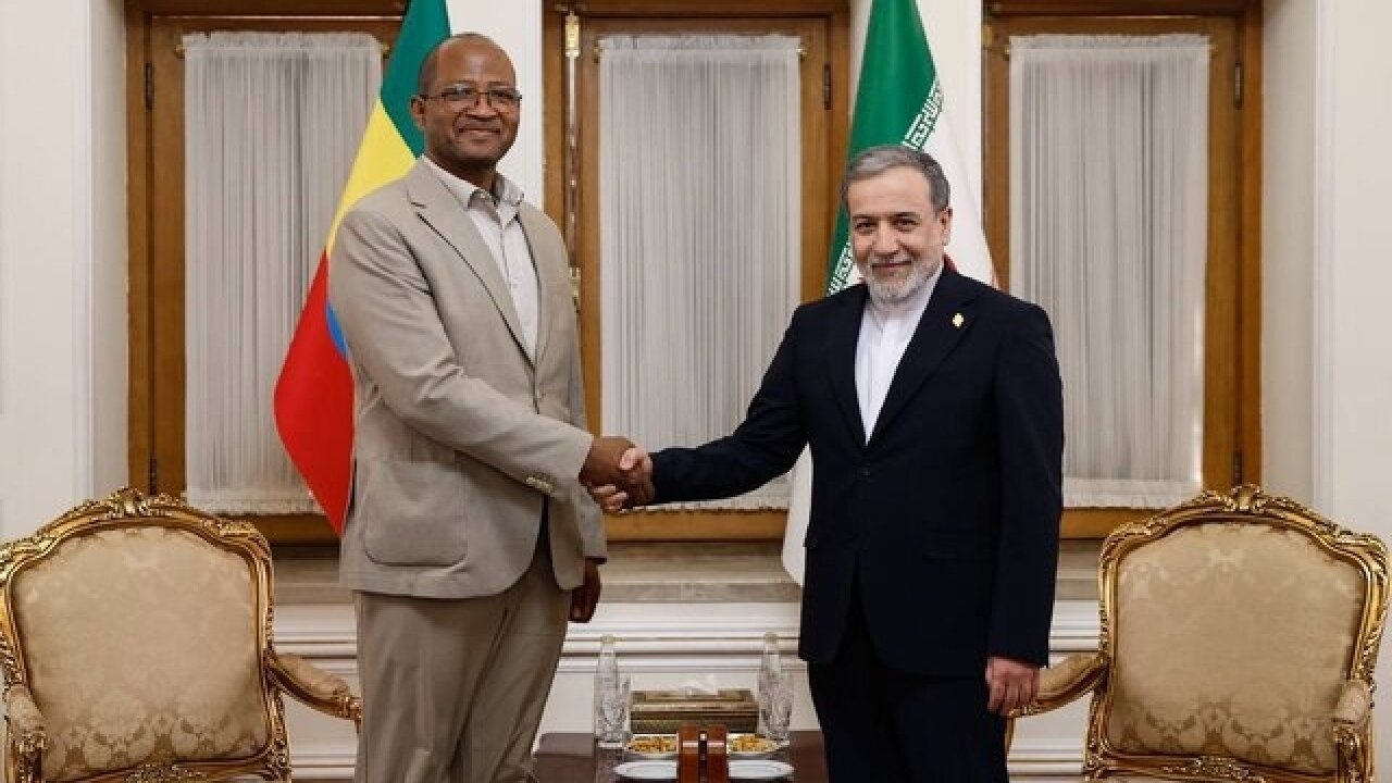 دیدار رئیس مجلس نمایندگان اتیوپی با عراقچی