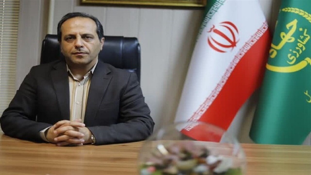 کشاورزی به بذور اصلاح شده اعتماد کنند