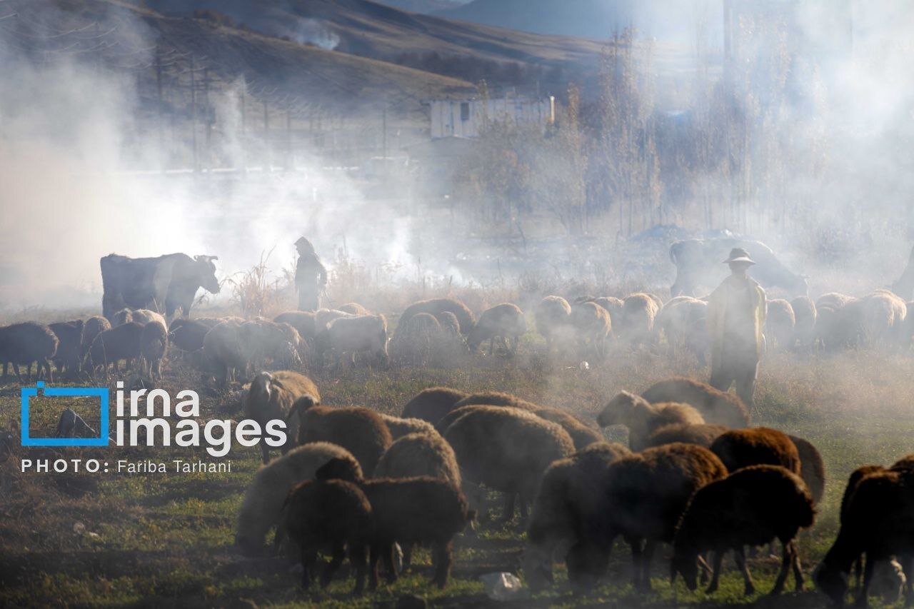 ​​​​​​​طبیعت پاییزی شهرستان الشتر