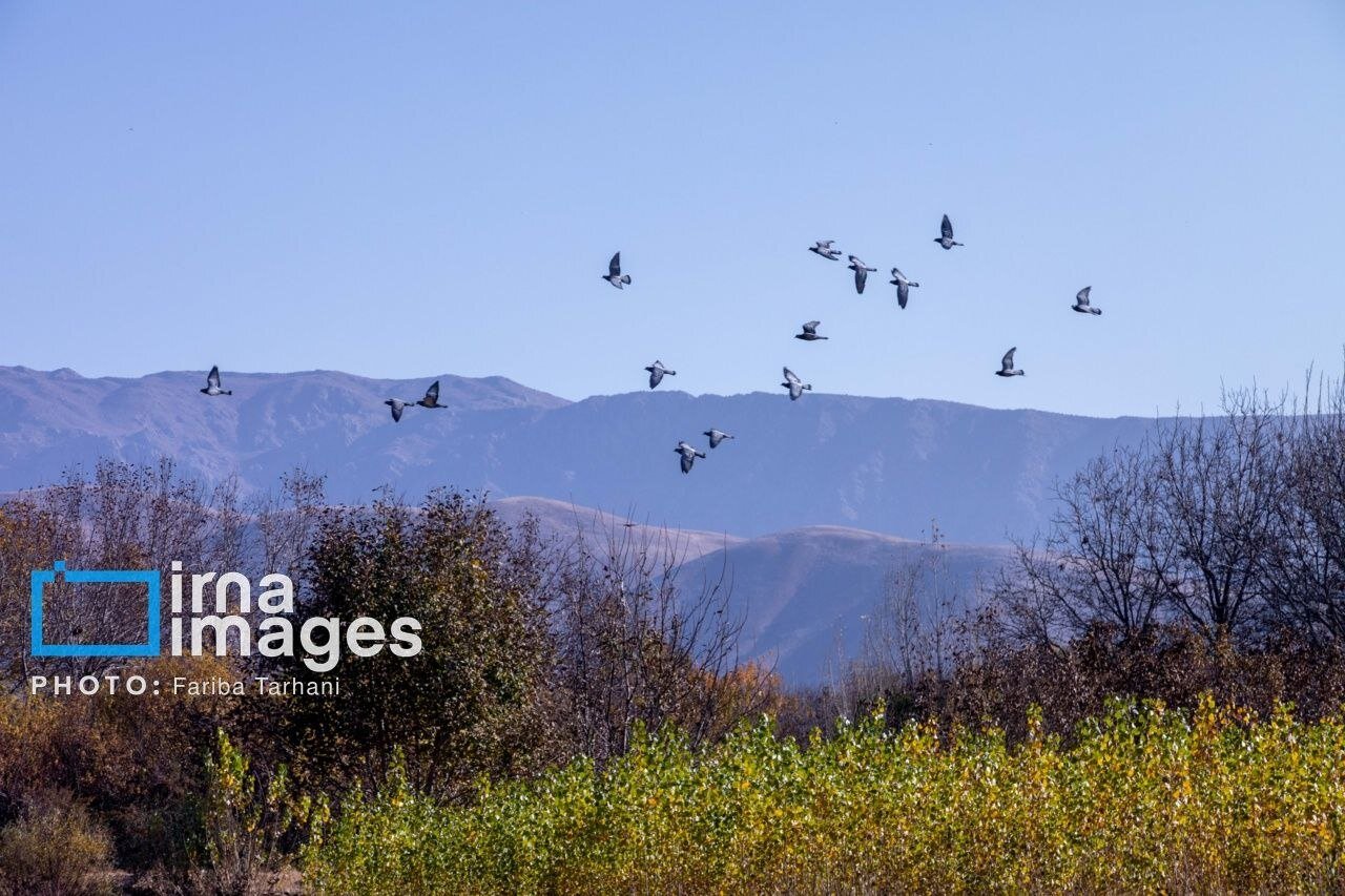 ​​​​​​​طبیعت پاییزی شهرستان الشتر