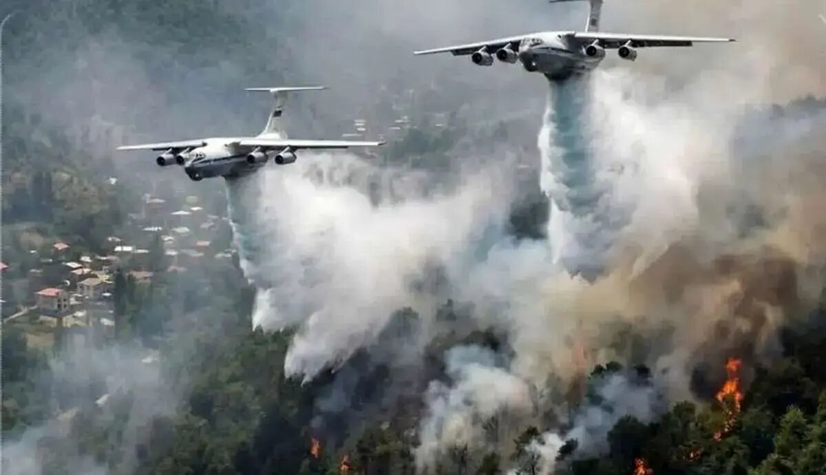 واکنش محیط زیست به گزارش مجلس درباره آتشسوزی جنگلهای الیت