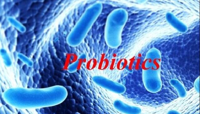 نکاتی درباره پروبیوتیکها