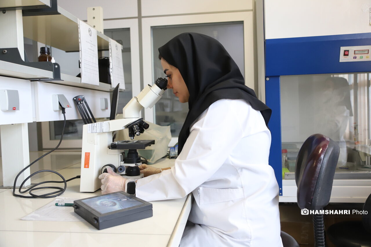 «پیوند مدفوع» جان ۳۵ بیمار را نجات داد