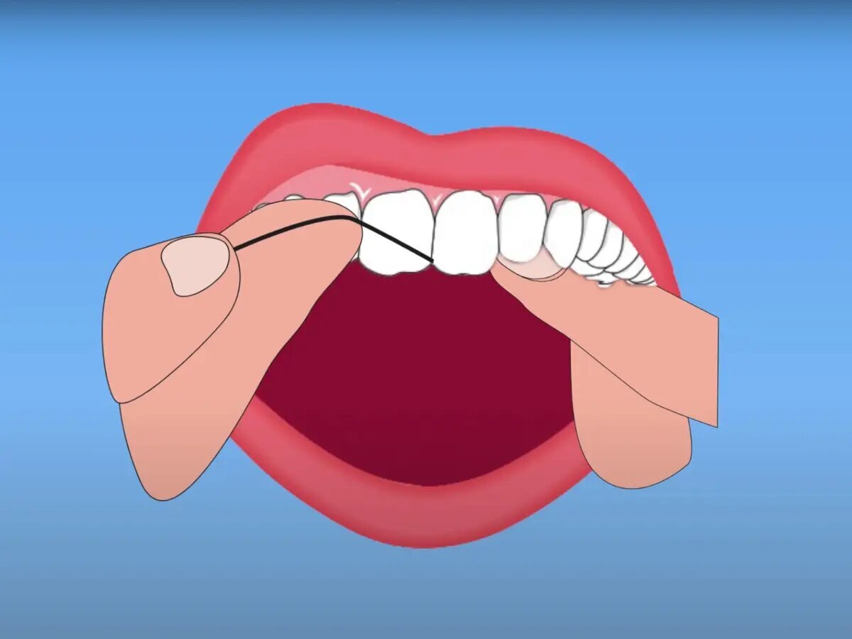 صبح‌ها نخ دندان بکشیم یا شب‌ها؟