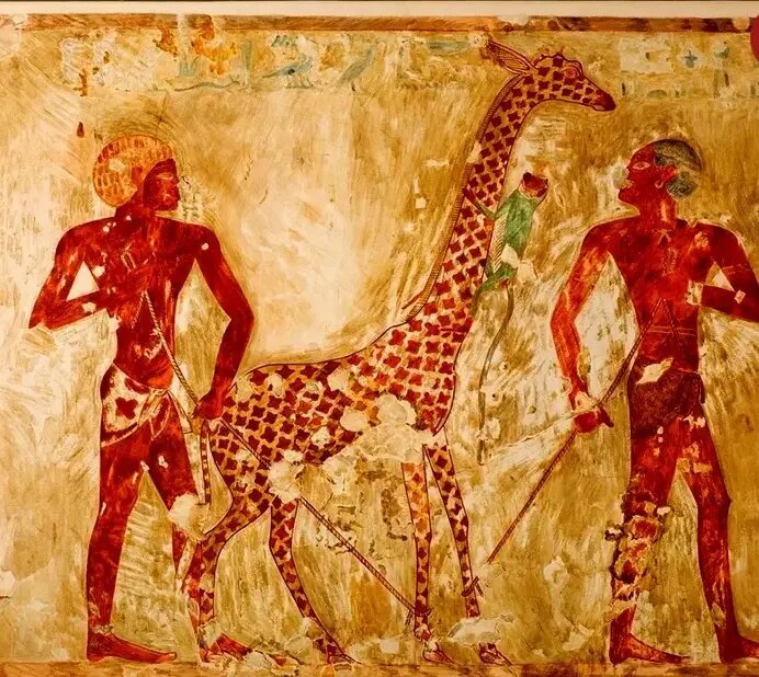 حیات وحش آفریقا در این مقبرۀ ۳۵۰۰ ساله به تصویر کشیده شده است | عکس