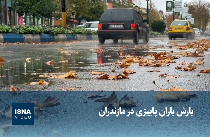 ویدیو/ بارش باران پاییزی در مازندران