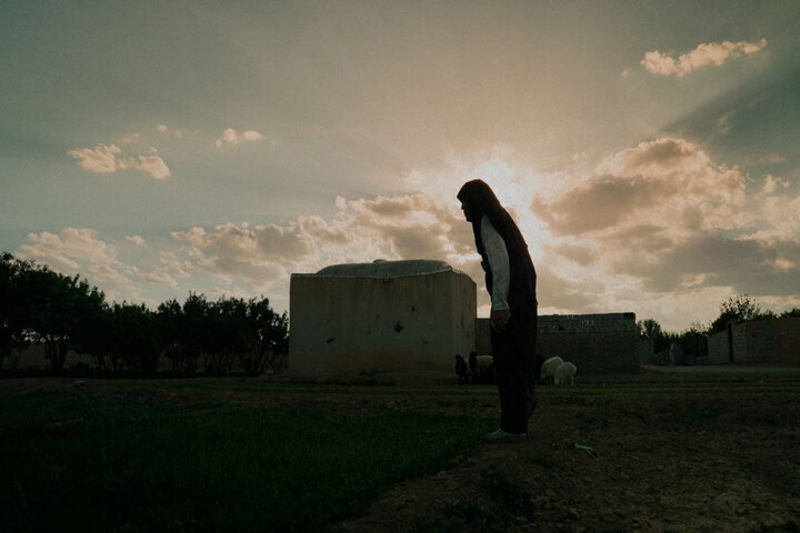 ضرورت نوآوری در مستندهای شهدا؛ انتظار برای فرزندی که هرگز باز نمیگردد