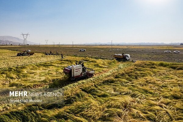 استاندار کرمان: ارتقای وضعیت کشاورزی، راهبرد جدی استان کرمان است