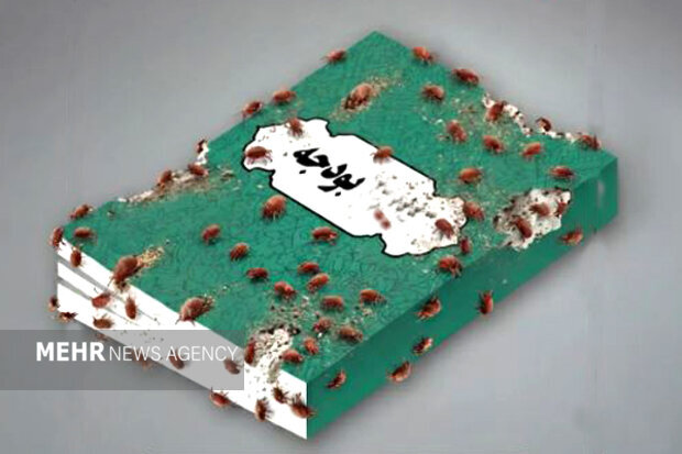 «انگل»های بودجه ورزش ایران کجاست/ پروژههایی که «باتلاق پولخور» شدند