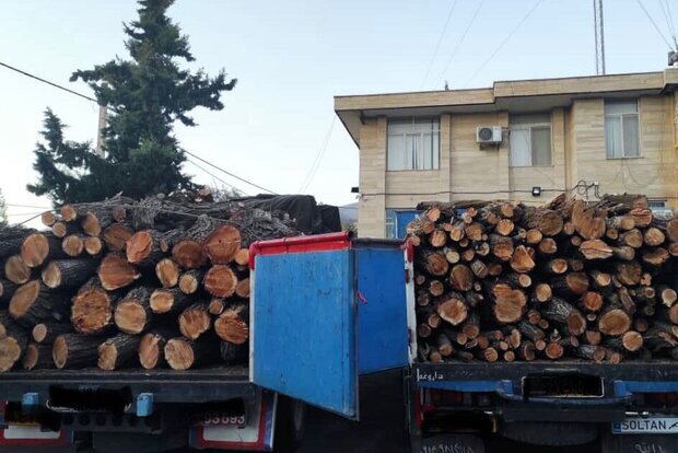 هدایت: ۲دستگاه خودرو حامل ۸ تن هیزم جنگلی در استان اردبیل توقیف شد