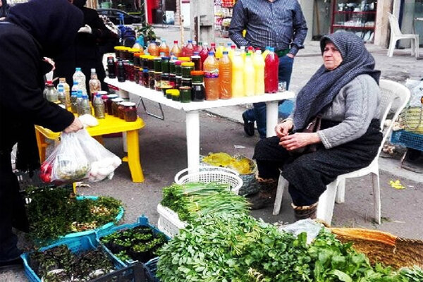 طلایی: ۳ هزارروستا بازار برای توزیع محصولات کشاورزی ایجاد میشود