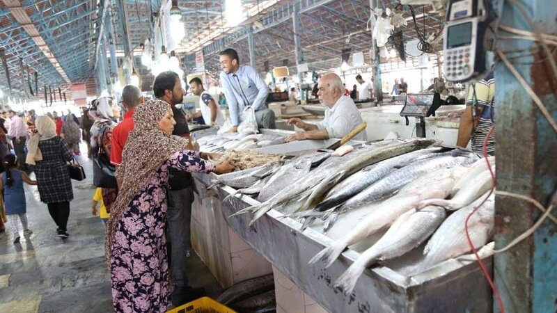 صنایع تبدیلی شیلات، موتور محرک اشتغال پایدار و امنیت غذایی در هرمزگان