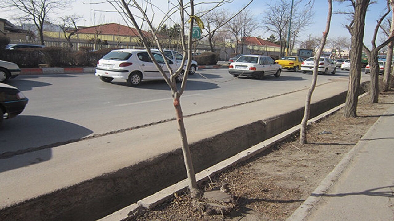 اردبیل شهری فقیر از فضای سبز و درخت است