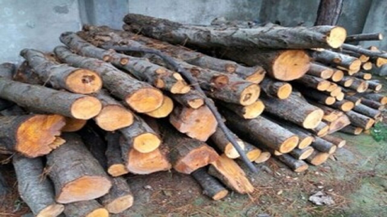 کشف و ضبط ۸ تن هیزم جنگلی قاچاق در اردبیل