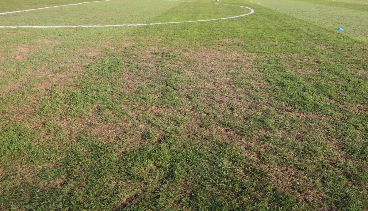 واکنش مدیرکل ورزش استان تهران به افت کیفیت زمین چمن ورزشگاه شهر قدس