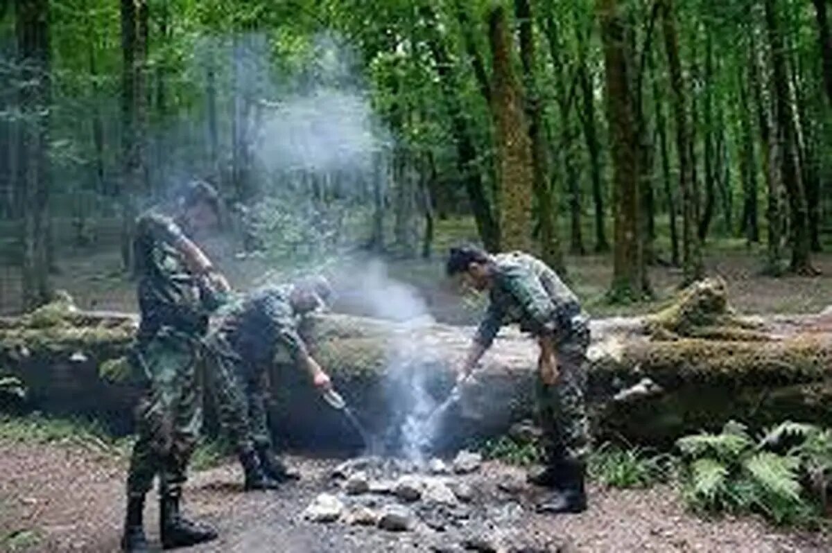 حافظان جنگلهاییم اما حقوق ۱۳ تا ۲۰ میلیون تومانی را با تاخیر میگیریم!