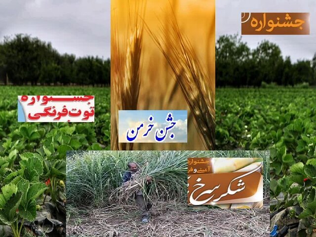 وقتی «جشنواره» به بازارچه بدل میشود