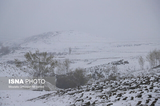 کدام استانها برفی میشوند؟