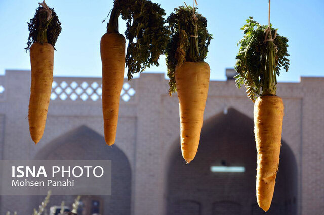 هشدارهای هواشناسی، جشنواره زردک خرانق را لغو کرد