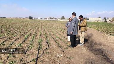 مزارع احمدآباد تا مهرنجان کازرون در گل و لای