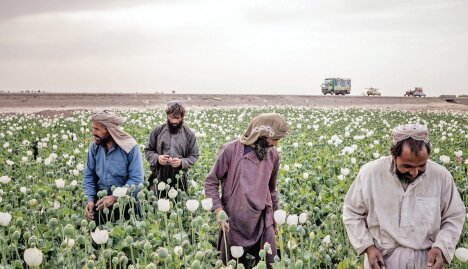 نفرین تریاک در ایران