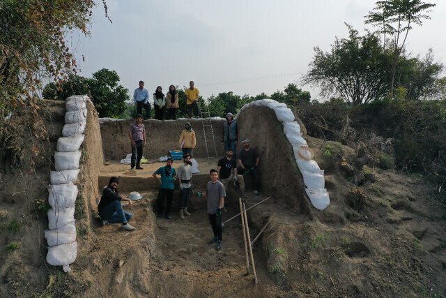 کشف دانه برنج ۳ هزار ساله در آمل + فیلم