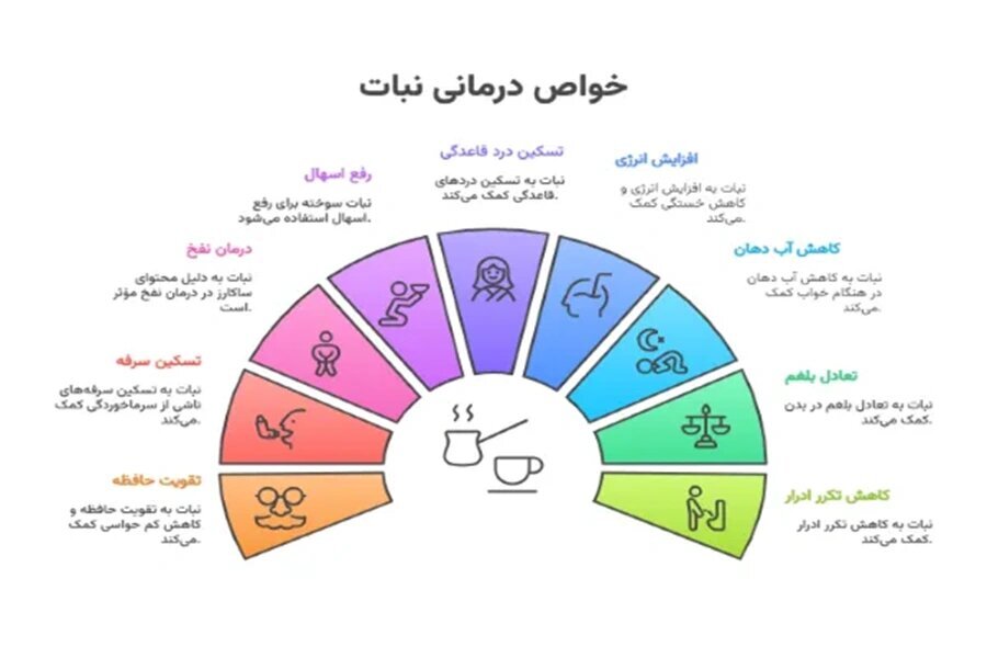 دادن نبات داغ به نوزاد یک ماهه خطرناک است؟ | پیشگیری و نکات مهم