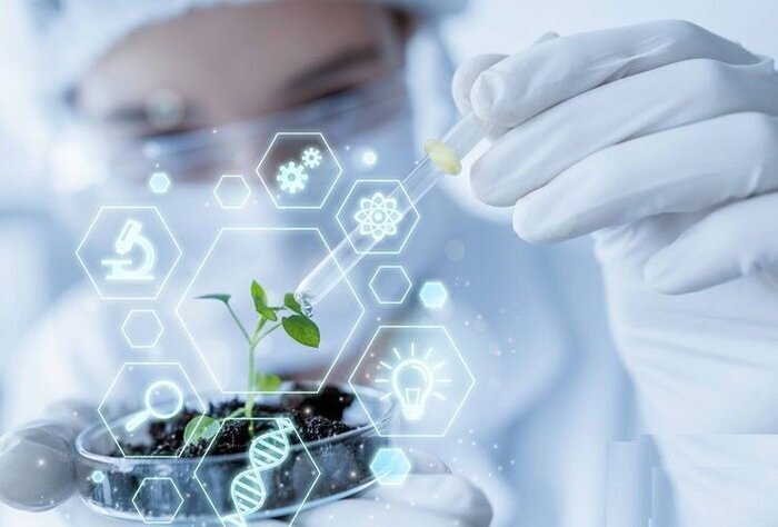 توسعه پژوهش در زنجان نیازمند تقویت زیرساخت‌ها