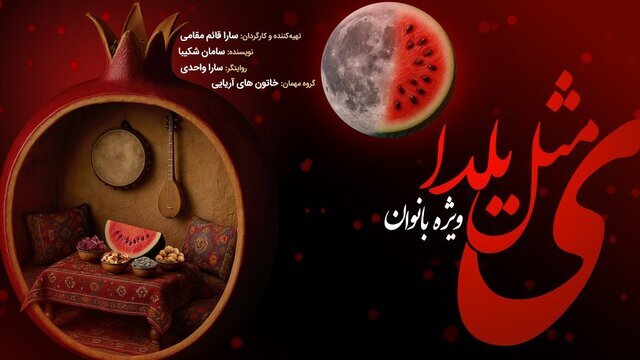 فیلمهای حقیقت در شهرستانها تا خبرهایی از «بزم پادشاه پروانه»