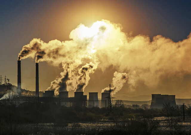 بهترین غذاها برای مقابله با تاثیرات آلودگی هوا کدامند؟