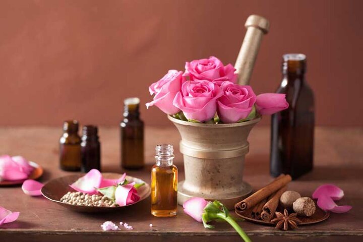 گلاب سیاه رونمایی شد
