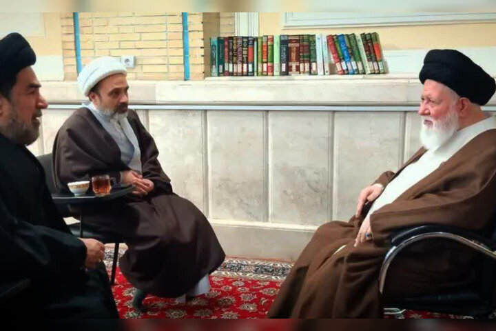 دیدار آیتالله علمالهدی با رهبر برجسته شیعیان هند