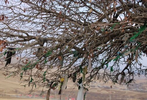 مقبرهای بر تپهای باستانی؛ میراثی معنوی از هزاره اول در دل طبیعت لرستان