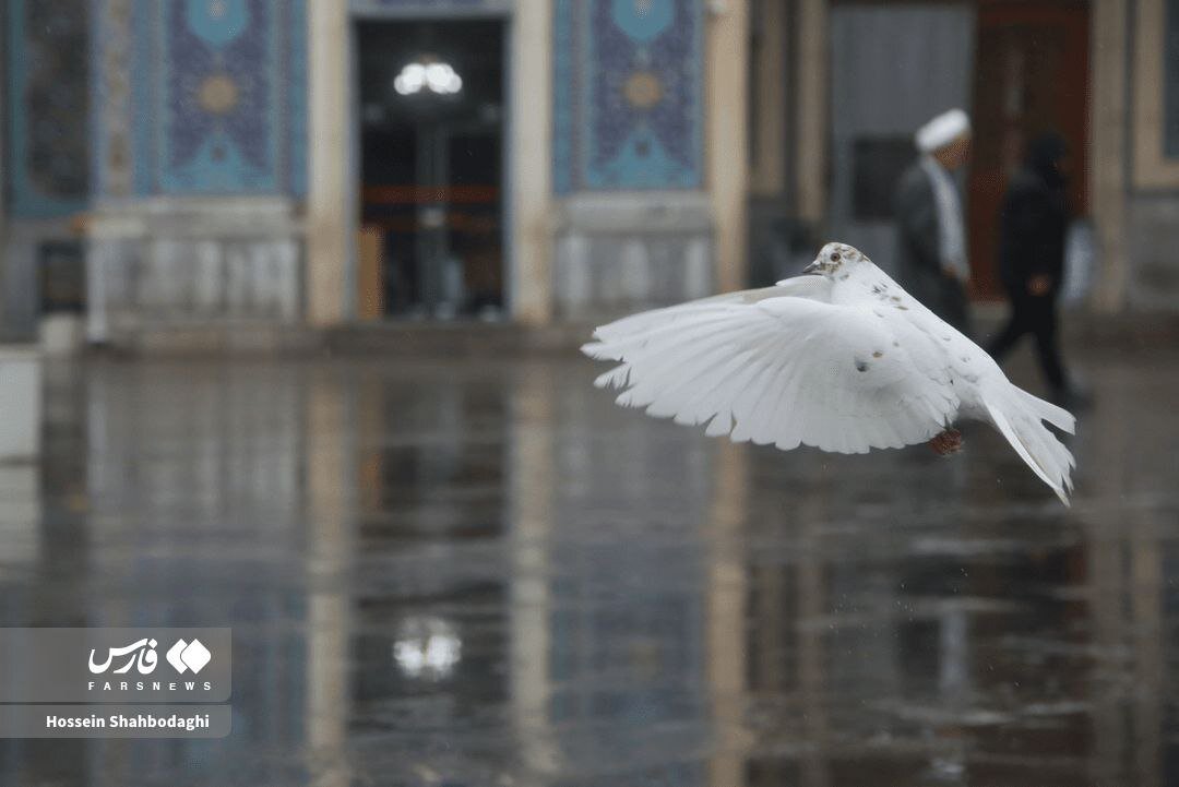 طراوت باران پاییزی در قم