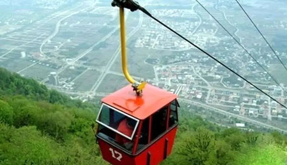 شینا انصاری: به دلایل فنی و قانونی با تله‌کابین درجنگل‌ ناهارخوران مخالفیم