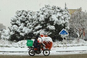 عکس/ بارش برف پاییزی در همدان