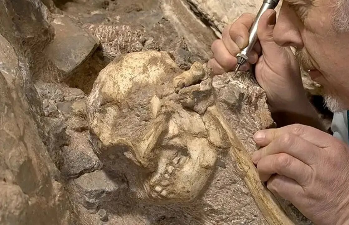 خویشاوند ۳ میلیون سالۀ انسان از دل سنگ بیرون آمد | عکس