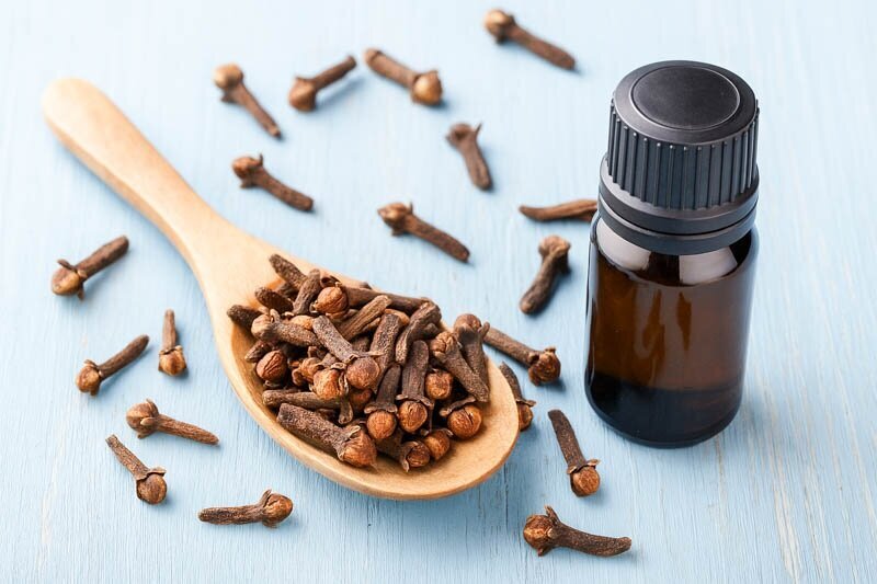این ۴ ادویه بیشتر از دارچین خواص آنتی اکسیدانی دارند