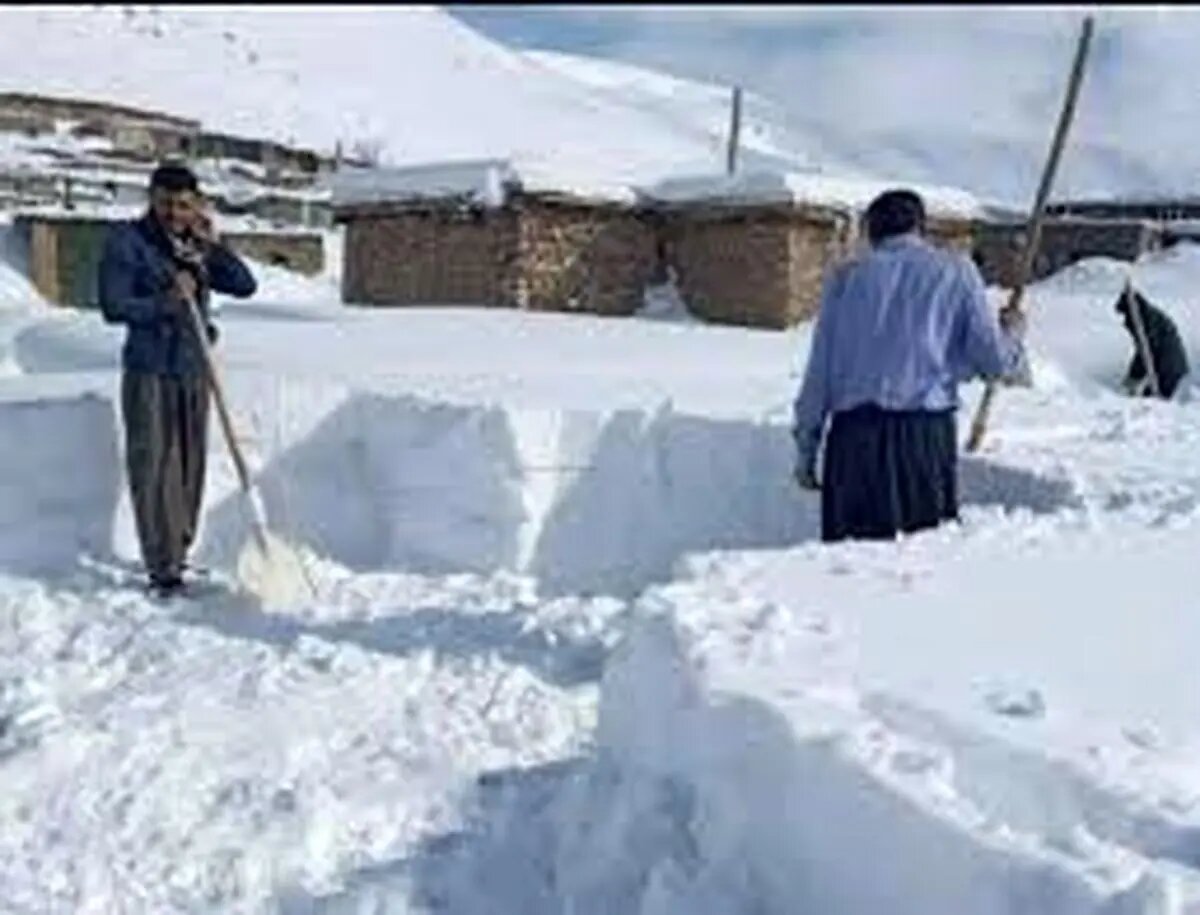 تصاویری از یخ زدن حیوانات در برف یک متری شهرستان رابر کرمان